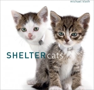 Shelter Cats Book