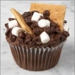 S'Mores Cupcake