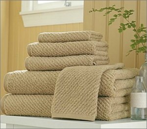 Linden Street Quick Dri Towel Set