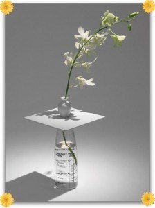 Make Any Object Into A Vase