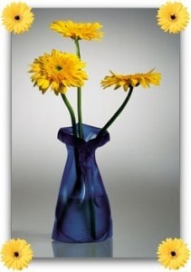 Wonder Vase