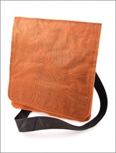 iPad Carrying Case