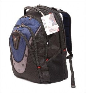 Swiss Gear Ibex 17-Inch Notebook Backpack
