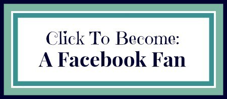 Click To Become A Facebook Fan of The Mindful Shopper