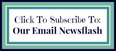 Subscribe to The Mindful Shopper's Email Newsflash