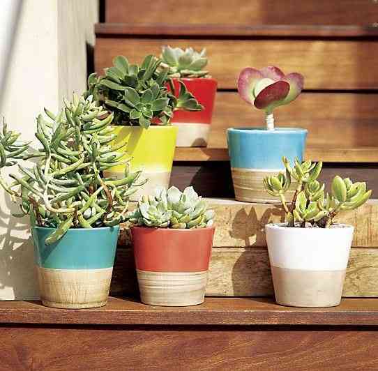 Carnivale Mini Planters | Decorate Your Home with These Bold and Beautiful Colors of Summer | The Mindful Shopper