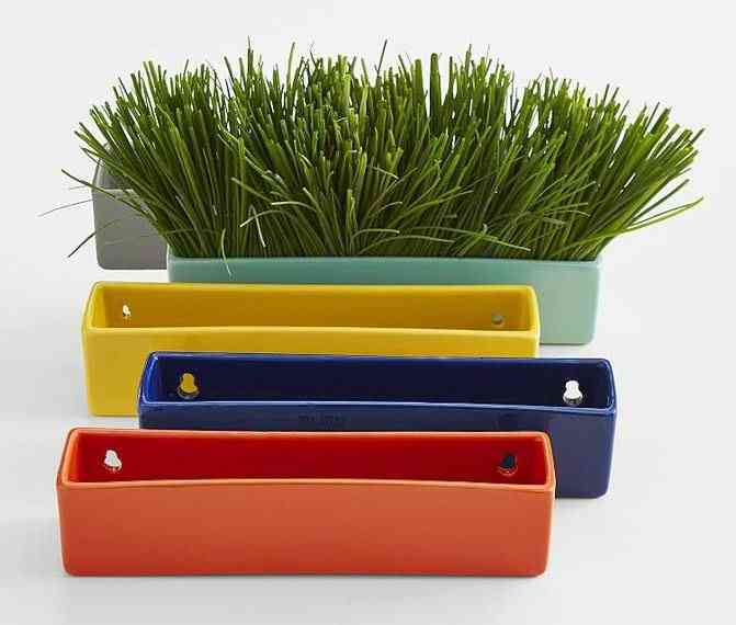 Colorful Wall Planter Bricks