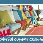 Deal of The Day: Colorful Outdoor Cushions