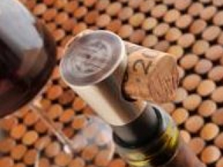 Buono Vino Wine Stopper