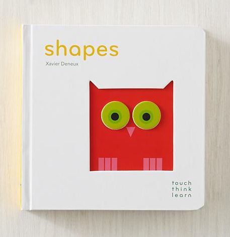 Shapes Touch Think Learn Book