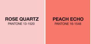 Pantone Spring Colors | Peach Echo and Rose Quartz